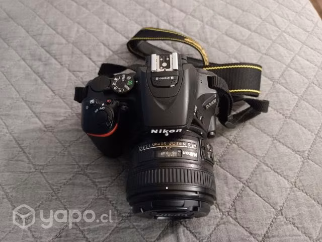 Camara Nikon d5600