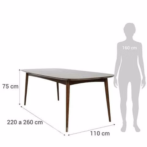 Mesa de comedor rectangular 220x110cm - Imagen 3