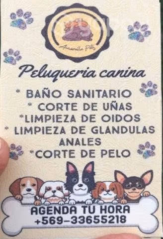 Peluqueria canina