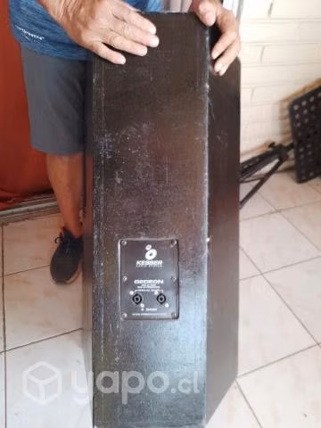 2 parlantes pasivo para equipo vocal - Imagen 3