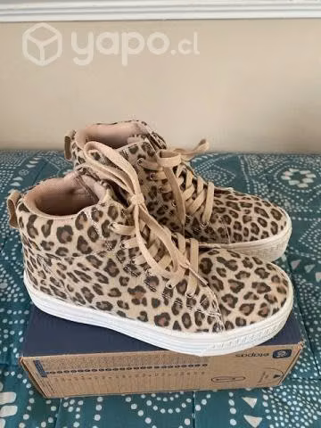 Botines COLLOKY