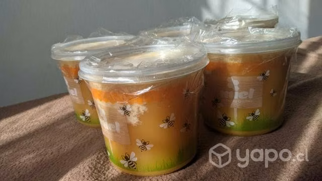 Miel de flor de avellano - Imagen 2