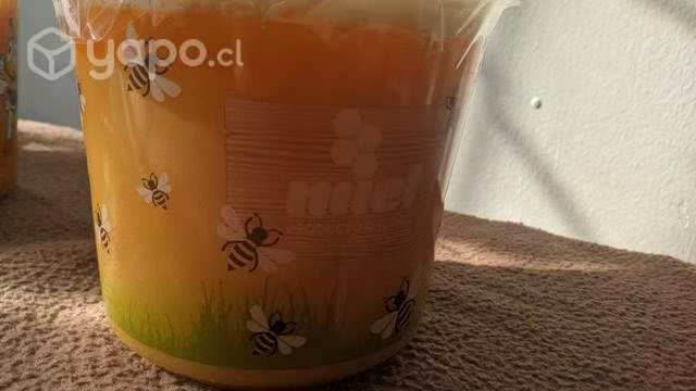 Miel de flor de avellano - Imagen 3