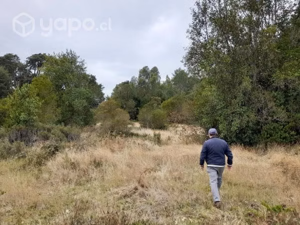 Parcela de Agrado - Imagen 5