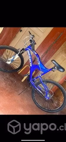 Bicicleta