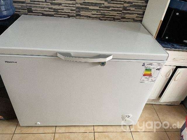 Congeladora 297 lts.