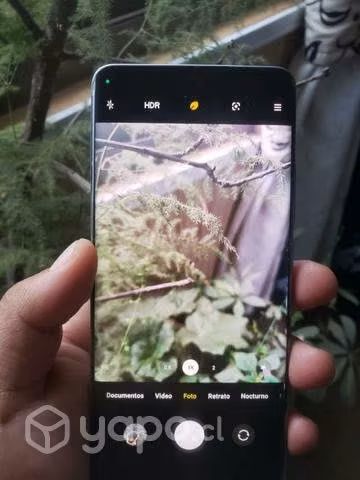 Xiaomi 12