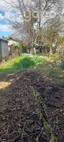 Casa con amplio terreno