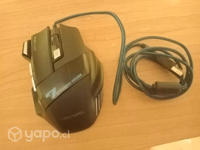 mouse