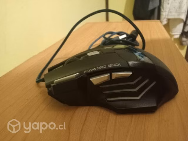 mouse