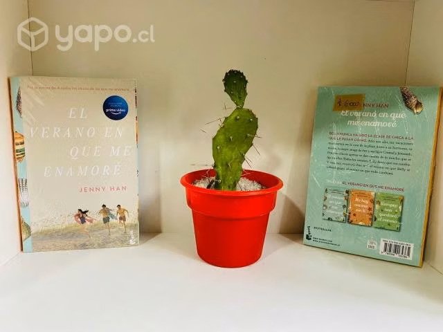 El verano en que me enamore