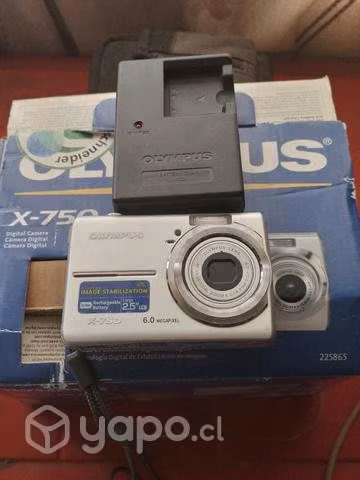 Camaras digitales de marca (excelente estado)