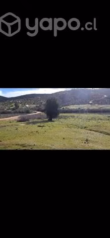Parcela