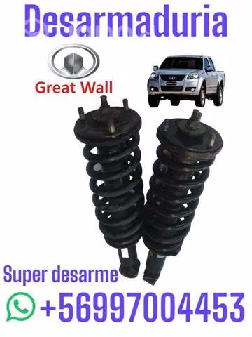 Par de amortiguadores wreat wall