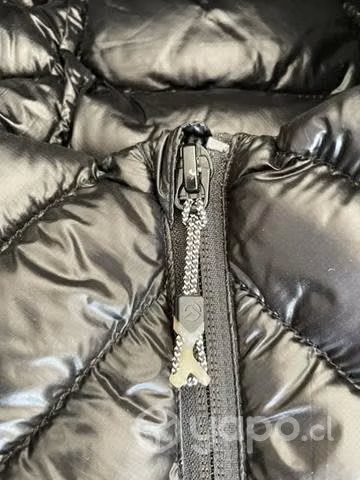 Chaqueta the north face