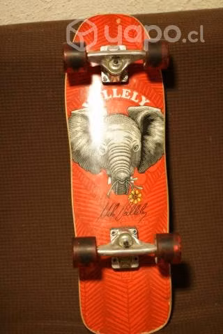 Cruiser board powell peralta