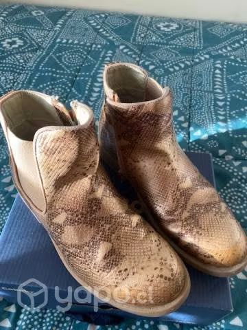 Botines ecocuero COLLOKY