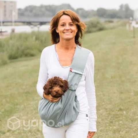 Bolso transportador de mascotas 4 LAZY LEGS
