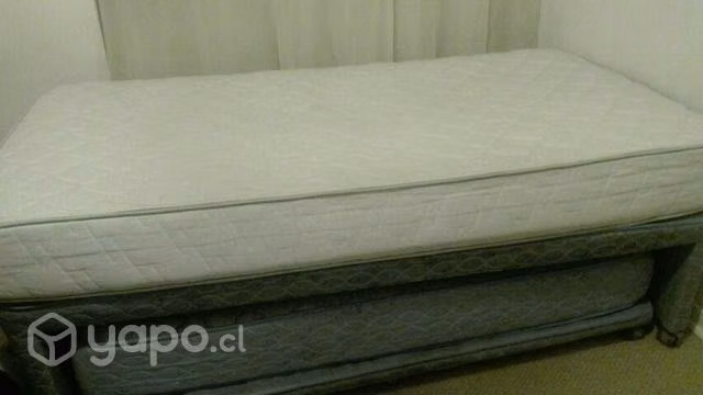 Cama nido