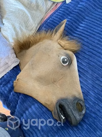 Máscara cabeza de caballo original (detalles)