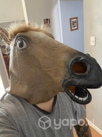 Máscara cabeza de caballo original (detalles)