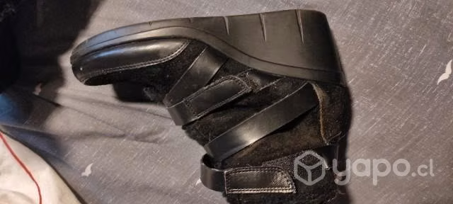 Zapato