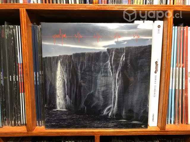 Vinilo de Pearl Jam - Gigaton (2 discos)