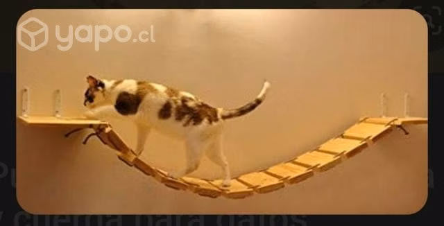 Puente para gatos, gatas y gates