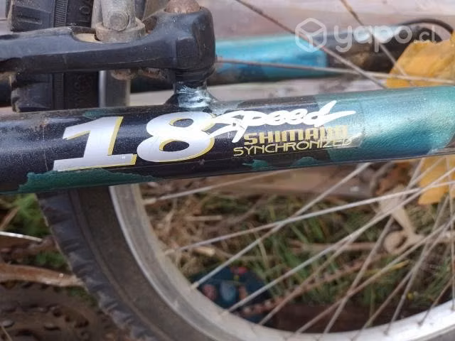 Bicicleta - Imagen 5