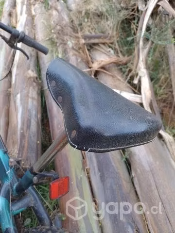 Bicicleta - Imagen 2