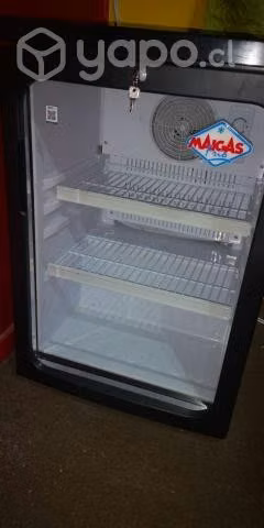 Visicooler MAIGAS 120 LTS