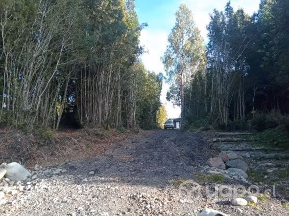 Parcela 5.000 Mts 2 , Casa 4 Dormitorios, Puerto V
