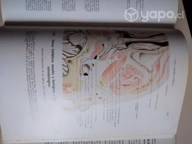 Atlas de Anatomía Humana, Tomo 3
