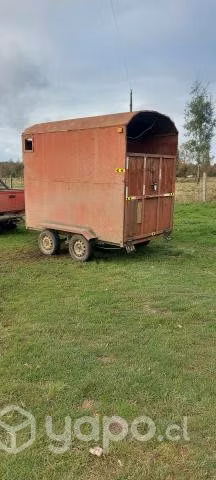 Carro para caballo