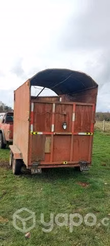 Carro para caballo