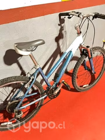 Bicicleta mujer aro 26
