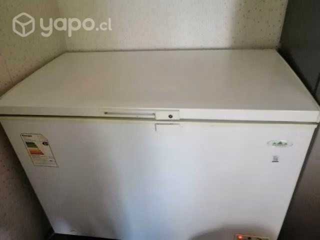 Congeladora 300 litros