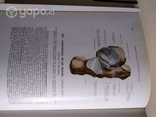 Atlas de Anatomía Humana