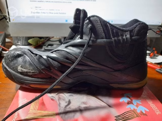 Zapatillas Nike Air Max Duncan Vintage basquetball