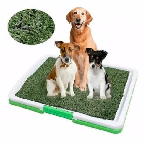 Baño Ecológico para Mascotas