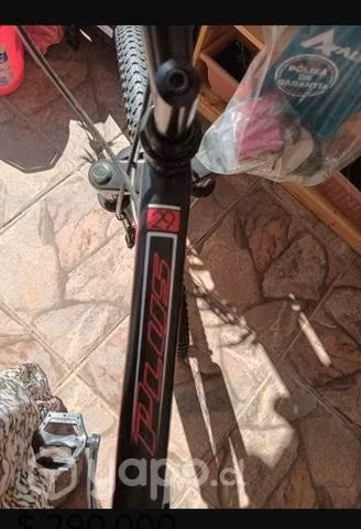 La Bianchi Alpina 29 SX