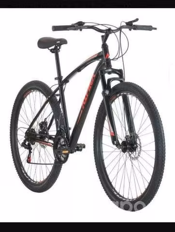 La Bianchi Alpina 29 SX