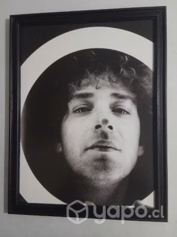 Cuadros de gustavo cerati