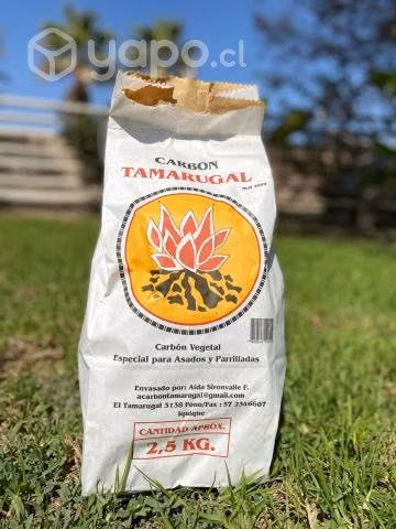 Carbón Tamarugal