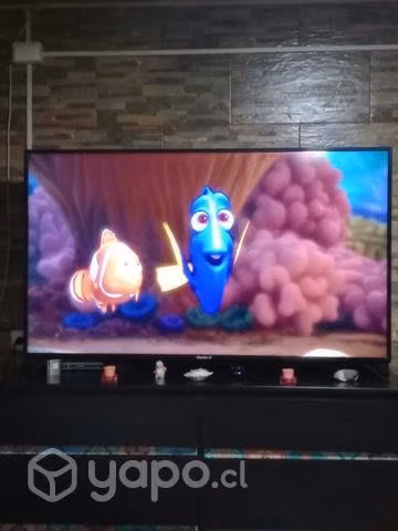 TV masterg
