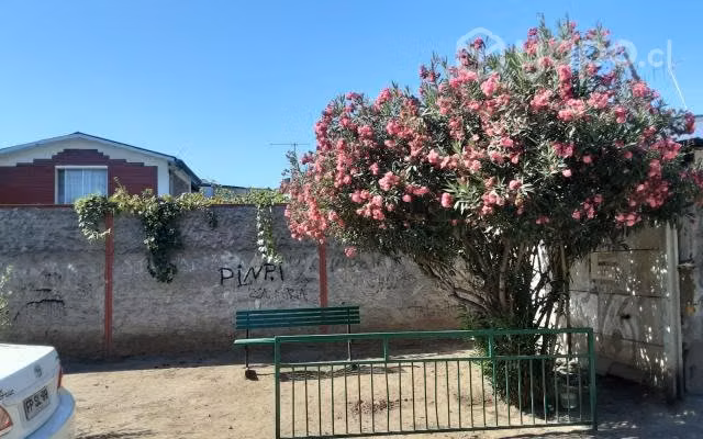 Casa con negocio