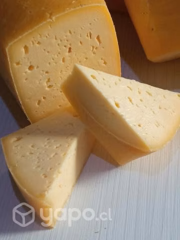 Queso mantecoso artesanal Exquisito - Imagen 3