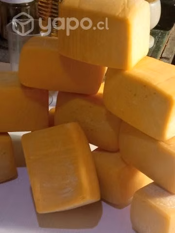 Queso mantecoso artesanal Exquisito - Imagen 4