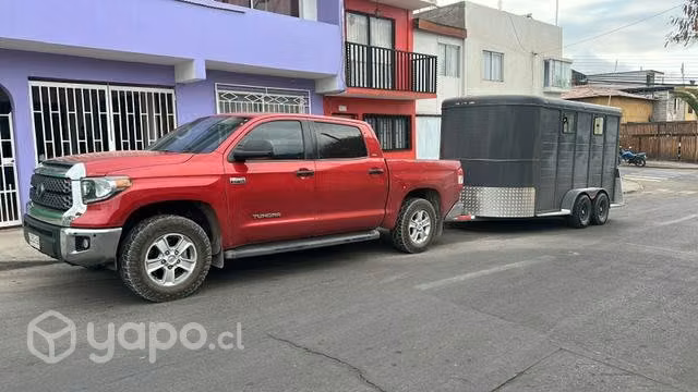 Carro arrastre 4 caballos con todos sus papeles