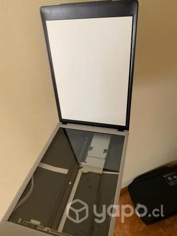 Scanner Epson v19